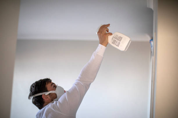 Certified Mold Removal in Prairie Grove, AR
